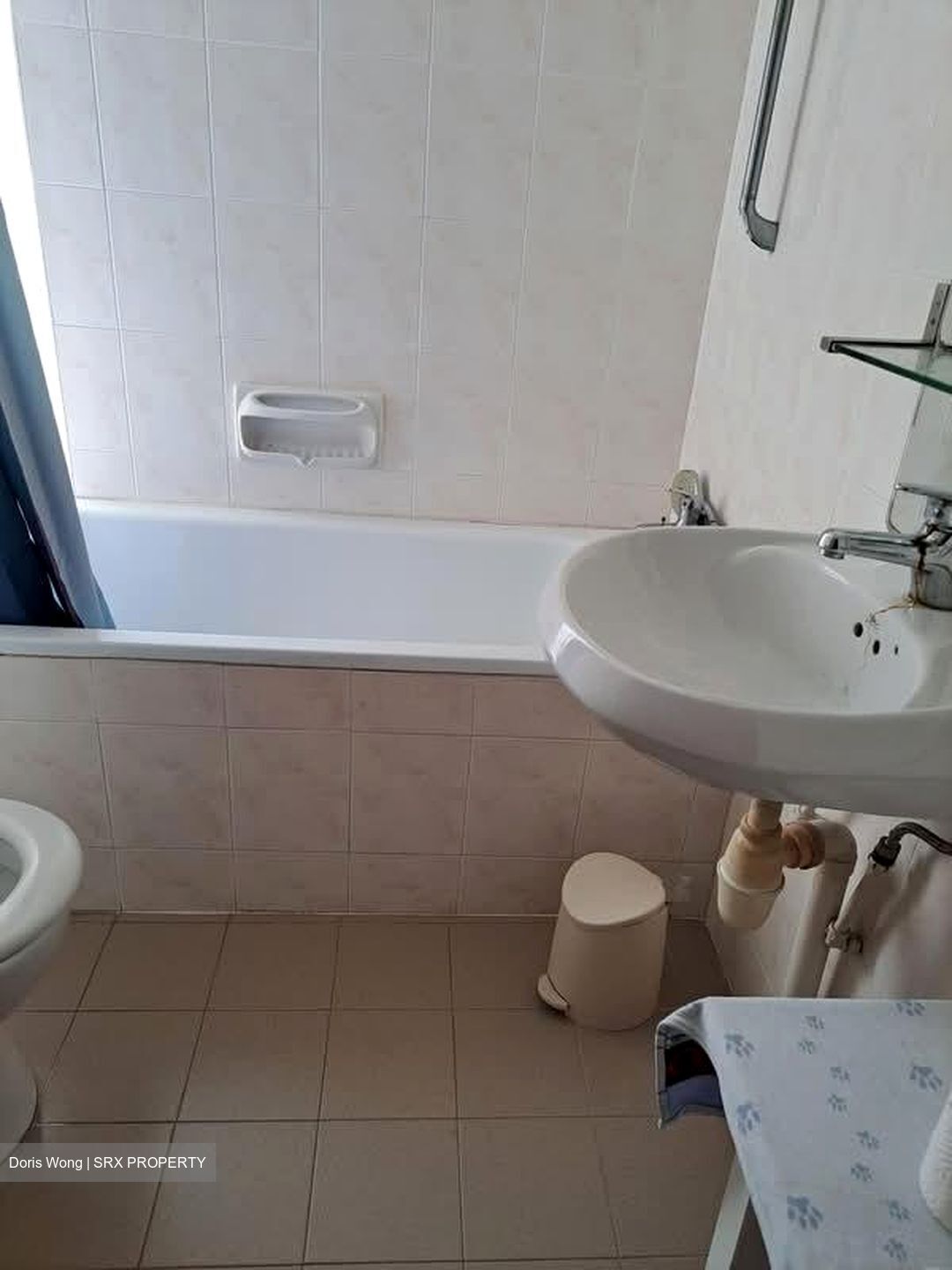 Pandan Valley (D21), Condominium #585438231